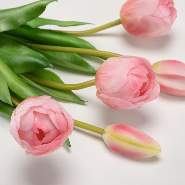 Svazek tulipány plnokvěté 39 cm, 5 ks