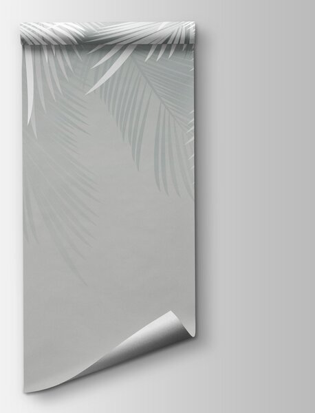 Fototapeta Vzor z bílých peříček na šedém pozadí, Fototapety s palmovými listy, Populární fototapety, u60201d2 - Tapeko.co.cz
