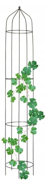 Pergola-rostlinná podpěra 190 cm. - Černá (Versanis)