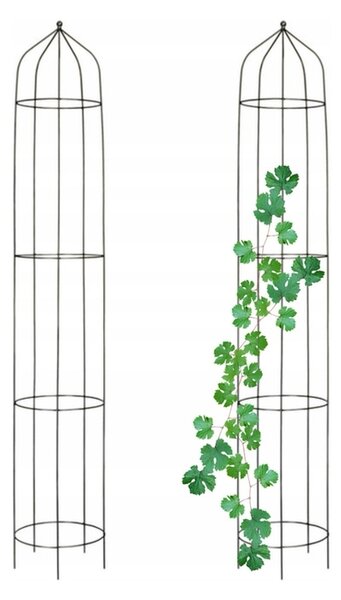 Pergola-rostlinná podpěra 190 cm. - Černá (Versanis)