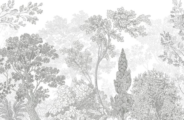Fototapeta Skupina stromů s listy, Přírodní fototapety, Populární fototapety, w04851v3 - Tapeko.co.cz