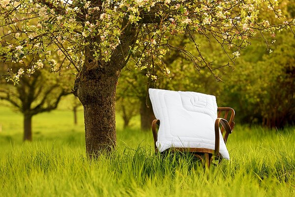 Ložnice21. Polštář Lyocell Tencel s chladivým účinkem Rozměr: 50x70 cm zip+vak (670 g)