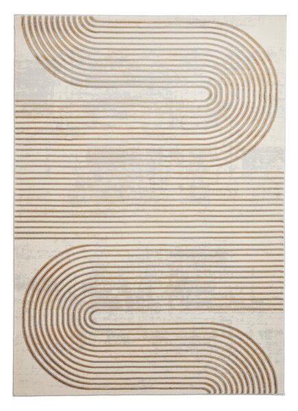 Koberec ve světle šedo-zlaté barvě 80x150 cm Apollo – Think Rugs