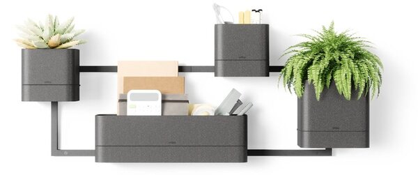 Závěsné plastové květináče na bylinky v sadě 4 ks Cubiko – Umbra