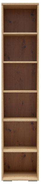 REGÁL NA DOKUMENTY, barvy dubu, 42/198/41 cm Carryhome - Regály na šanony