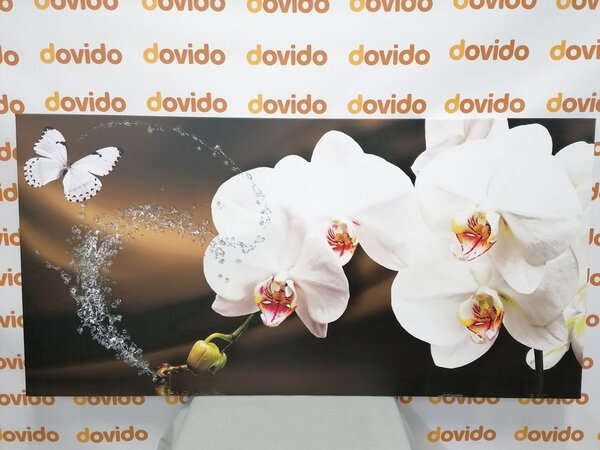Obraz orchidej a motýl