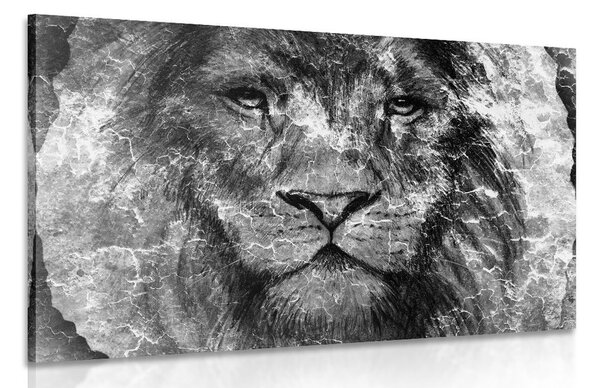 Obraz tvář lva v černobílém provedení