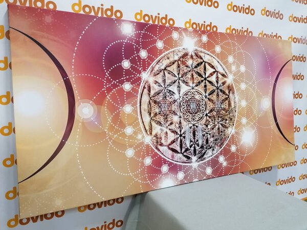Obraz okouzlující Mandala