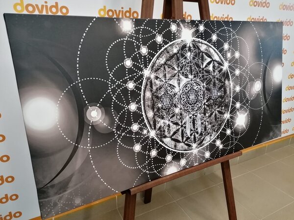 Obraz okouzlující Mandala v černobílém provedení