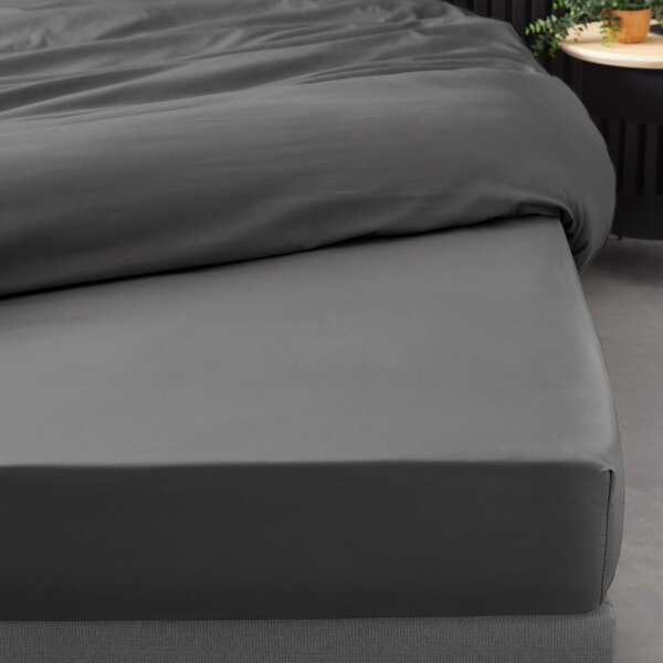 Antracitové napínací prostěradlo z bavlněného perkálu 90x190 cm Percaline – douceur d'intérieur
