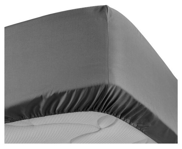 Antracitové napínací prostěradlo z bavlněného perkálu 90x190 cm Percaline – douceur d'intérieur