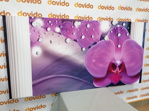 Obraz orchidej při řeckých sloupech