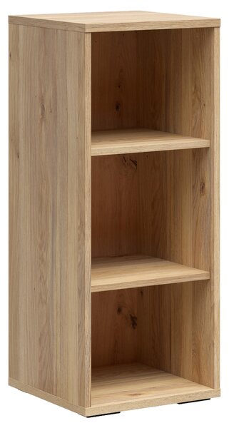REGÁL NA DOKUMENTY, barvy dubu, 42/100/41 cm Carryhome - Regály na šanony