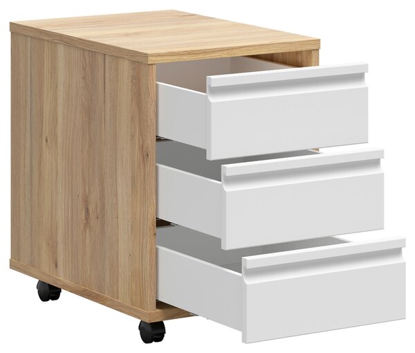 POJÍZDNÝ KONTEJNER, 43/66,5/56 cm Carryhome