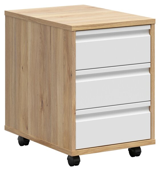 POJÍZDNÝ KONTEJNER, 43/66,5/56 cm Carryhome