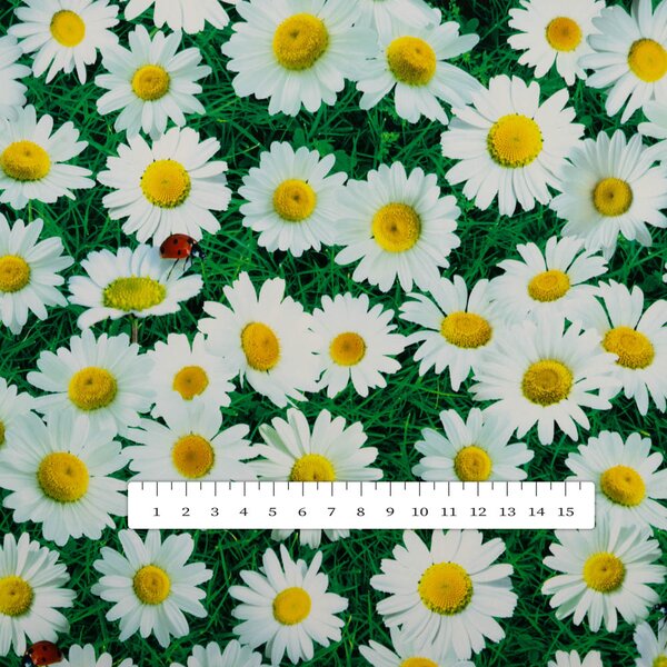 PVC ubrus Kopretiny na zeleném PV-161 - metráž š. 140 cm