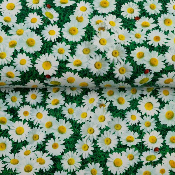 PVC ubrus Kopretiny na zeleném PV-161 - metráž š. 140 cm