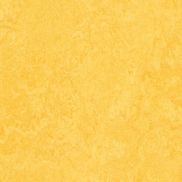 FORBO Marmoleum marbled fresco Lemon zest 3251 Tl. 2 mm - 2 bm
