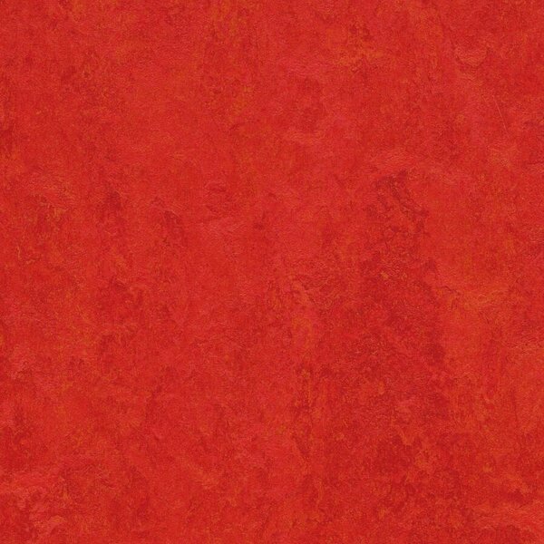 FORBO Marmoleum marbled fresco Scarlet 3131 - 2 bm