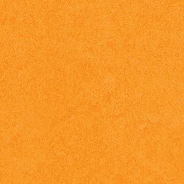 FORBO Marmoleum marbled fresco Marigold 3262 - 2 bm