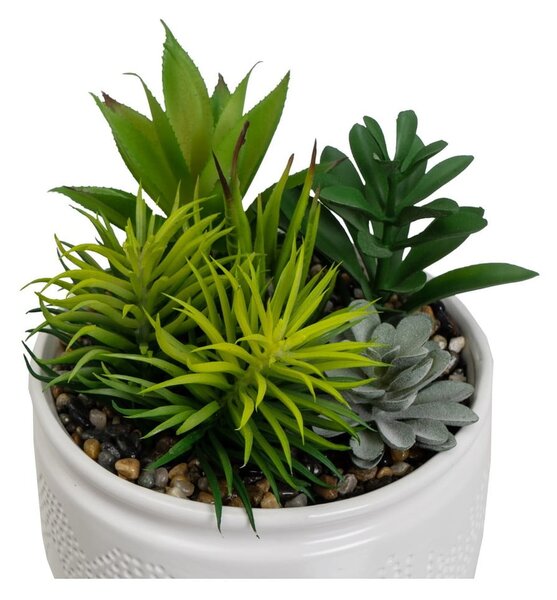 Umělé rostliny v sadě 2 ks (výška 19 cm) Cactus – Casa Selección