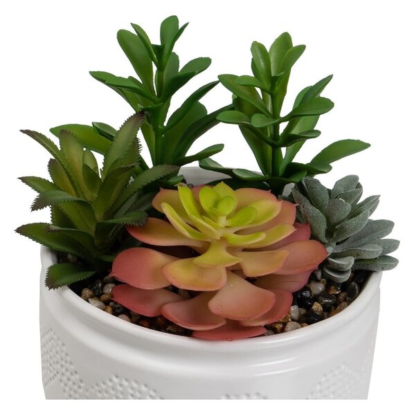 Umělé rostliny v sadě 2 ks (výška 19 cm) Cactus – Casa Selección