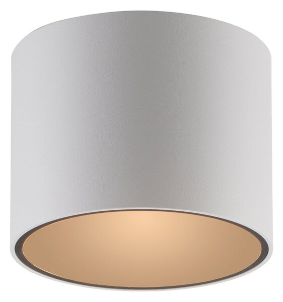 Stropní Lampa PURE, Point, stmívatelné, Bílá, Koupelna, Kov, Moderní