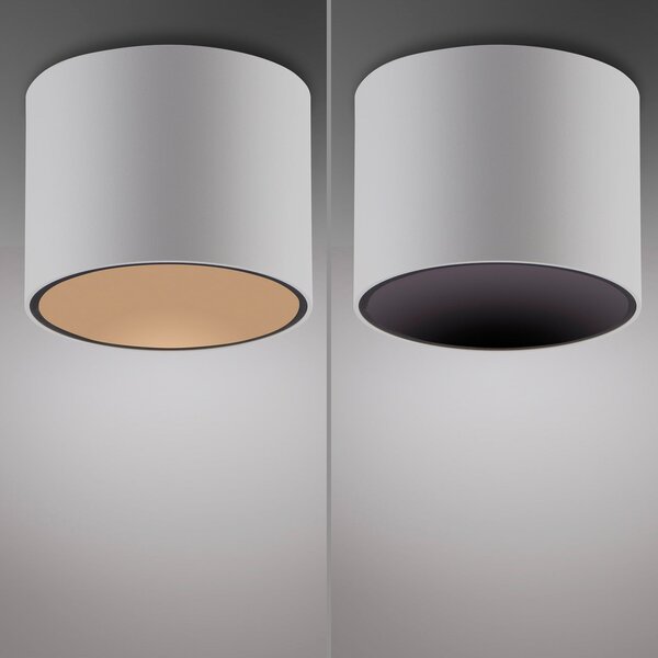 Stropní Lampa PURE, Point, stmívatelné, Bílá, Koupelna, Kov, Moderní