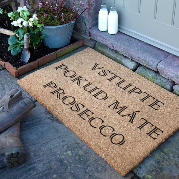 Rohožka z kokosového vlákna 40x60 cm Prosecco – Artsy Doormats