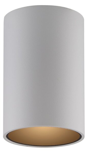 Stropní Lampa PURE, Point, stmívatelné, Bílá, Koupelna, Kov, Moderní
