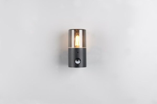 Trio T222260132 venkovní nástěnné svítidlo HOOSIC E27