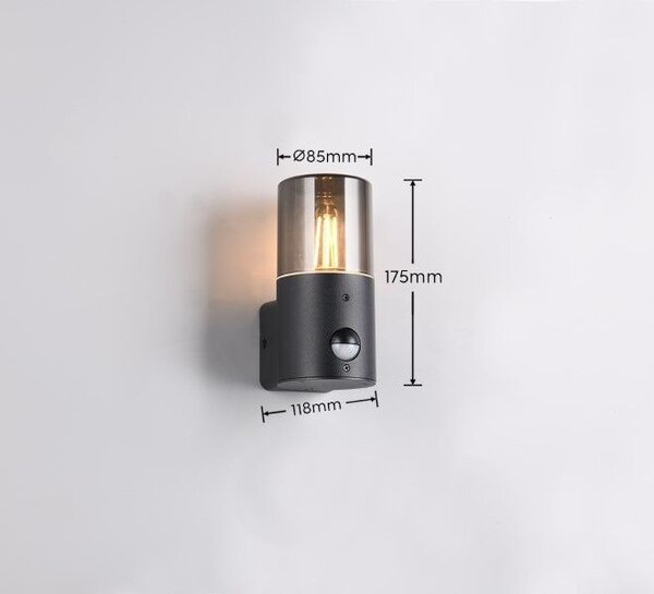 Trio T222260132 venkovní nástěnné svítidlo HOOSIC E27