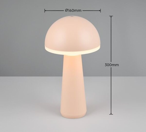 Trio Reality TR57716166 LED venkovní stolní svítidlo FUNGO | 2W integrovaný LED zdroj | 200lm | 3000+4000+5000K