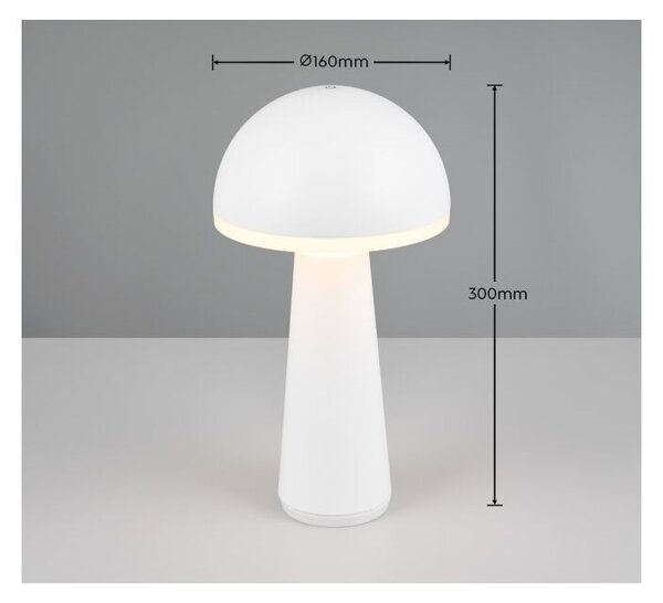 Trio Reality TR57716131 LED venkovní stolní svítidlo FUNGO | 2W integrovaný LED zdroj | 200lm | 3000+4000+5000K