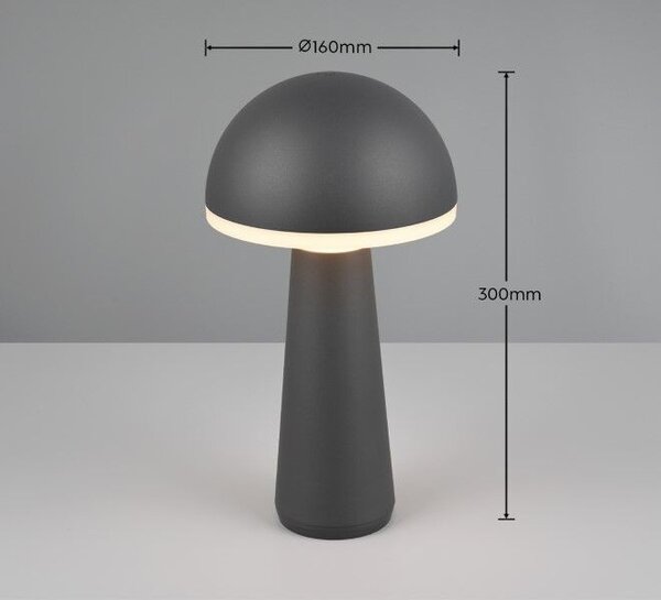 Trio Reality TR57716142 LED venkovní stolní svítidlo FUNGO | 2W integrovaný LED zdroj | 200lm | 3000+4000+5000K