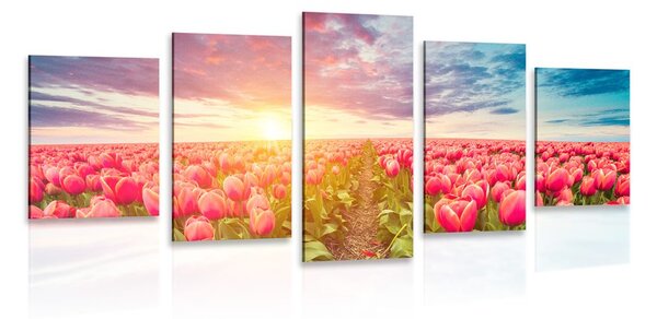 5-dílný obraz východ slunce nad loukou s tulipány