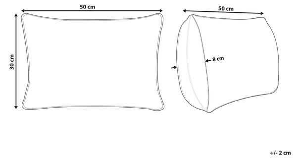 Sada 2 dekorativních polštářů BANORI Len 30 x 50 cm Bílá Bez vzoru