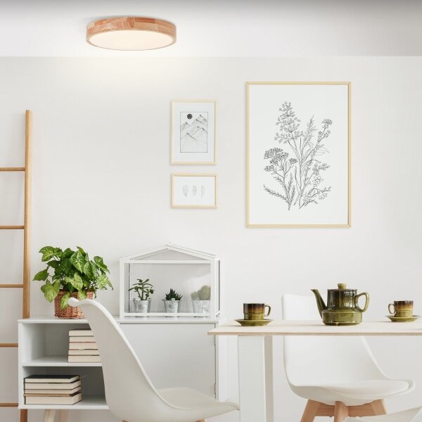 Brilliant - LED Stropní svítidlo SLIMLINE LED/22W/230V pr. 39 cm gumovník