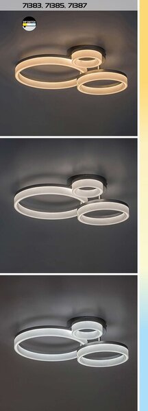 Rabalux 98071387 LED přisazené stropní svítidlo Amilia | 24W integrovaný LED zdroj | 2650lm | 3000+4000+6500K