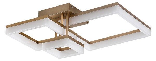 Rabalux 98071384 LED přisazené stropní svítidlo Amilia | 22W integrovaný LED zdroj | 2380lm | 3000+4000+6500K