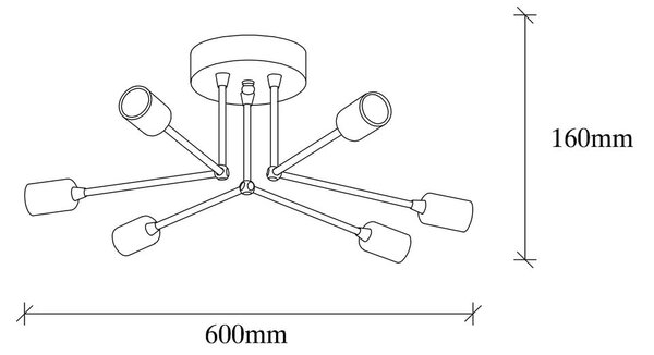 Černé stropní svítidlo Sparrow – Opviq lights
