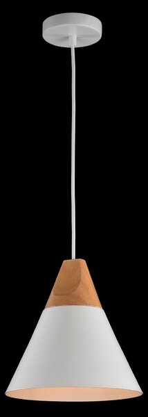 Maytoni Závěsné svítidlo BICONES, 1xE27, Ø 22 cm