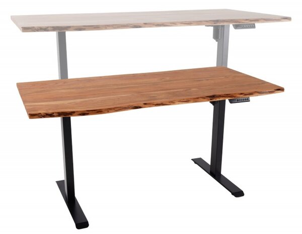 Výškově nastavitelný psací stůl MAMMUT 140 CM masiv akácie Nábytek | Kancelářský nábytek | Stoly