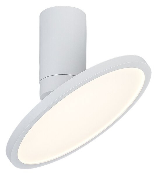 Rabalux 98071328 LED přisazené stropní svítidlo Ovidia | 20W integrovaný LED zdroj | 1370lm | 3000K
