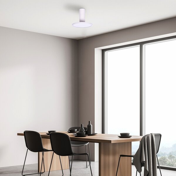 Rabalux 98071328 LED přisazené stropní svítidlo Ovidia | 20W integrovaný LED zdroj | 1370lm | 3000K