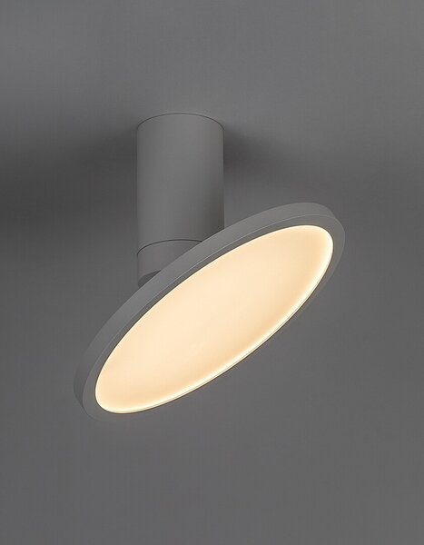 Rabalux 98071328 LED přisazené stropní svítidlo Ovidia | 20W integrovaný LED zdroj | 1370lm | 3000K