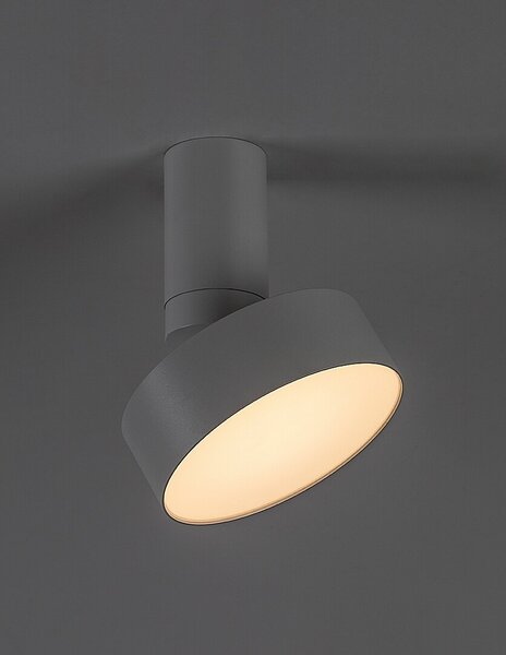 Rabalux 98071327 LED přisazené stropní svítidlo Ovidia | 16W integrovaný LED zdroj | 800lm | 3000K
