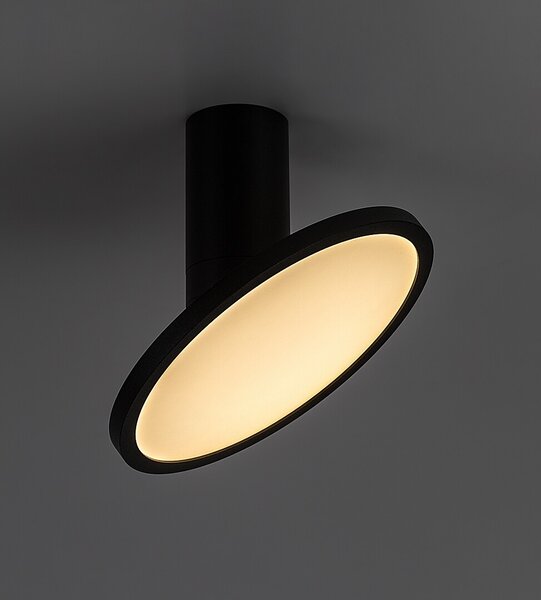 Rabalux 98071323 LED přisazené stropní svítidlo Ovidia | 20W integrovaný LED zdroj | 1370lm | 3000K