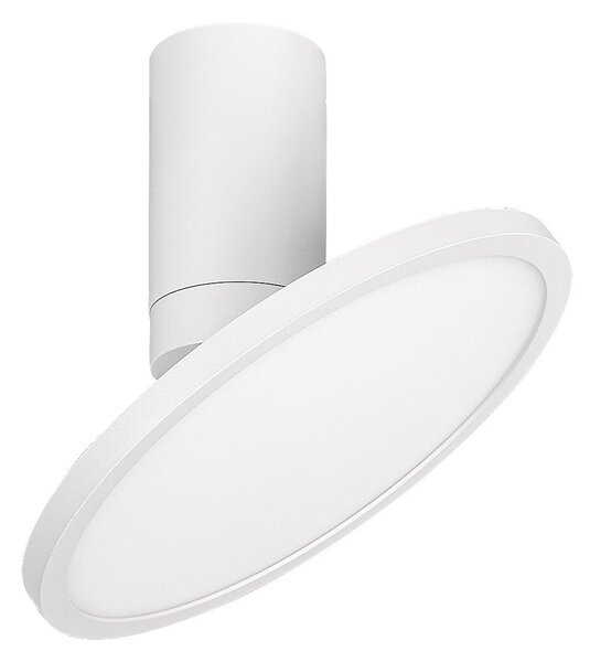 Rabalux 98071328 LED přisazené stropní svítidlo Ovidia | 20W integrovaný LED zdroj | 1370lm | 3000K