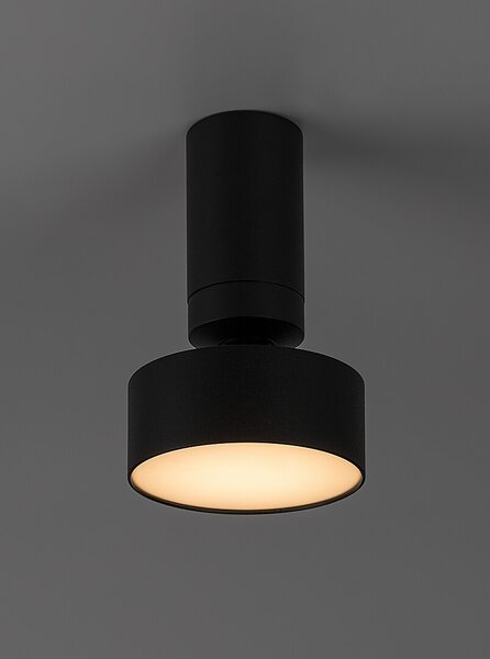 Rabalux 98071321 LED přisazené stropní svítidlo Ovidia | 10W integrovaný LED zdroj | 640lm | 3000K